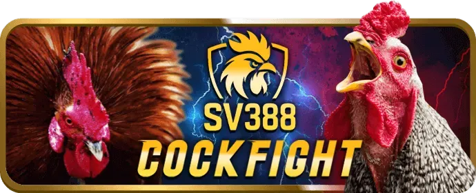 Chương Trình VIP Z8BET