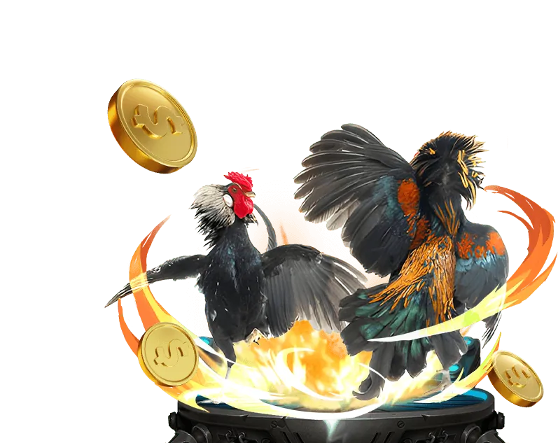 Hoàn trả hàng ngày Z8BET